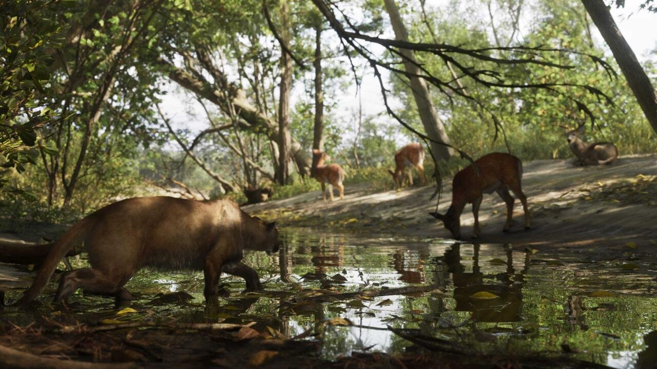 4488961-mount_kalaga_national_park_05
